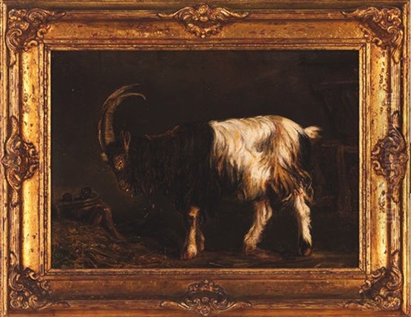 Goat Oil Painting by Tomas Jose Da Anunciacao