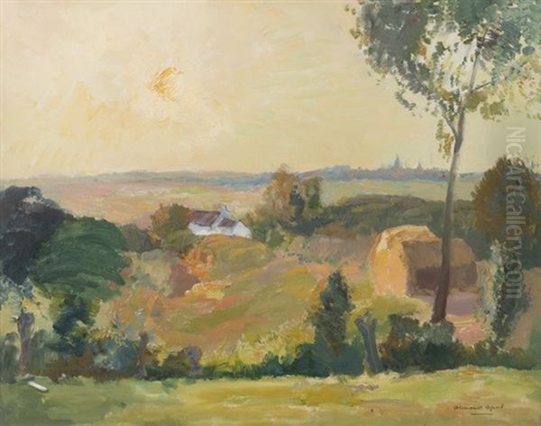 Campagne Oil Painting by Armand Adrien Marie Apol