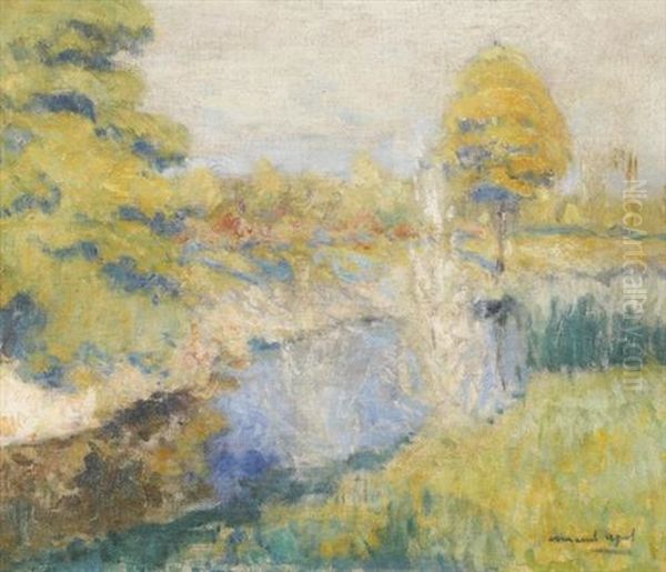 Sonnige Landschaft Mit Bach Und Wiese Oil Painting by Armand Adrien Marie Apol