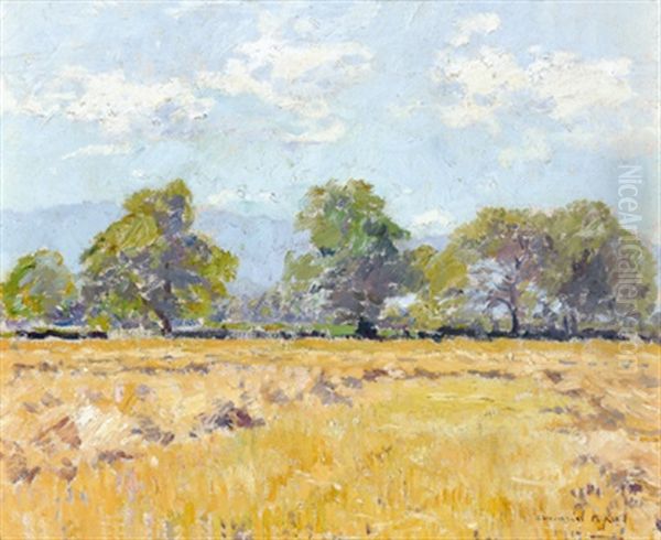 Kornfeld Im Sommer Oil Painting by Armand Adrien Marie Apol