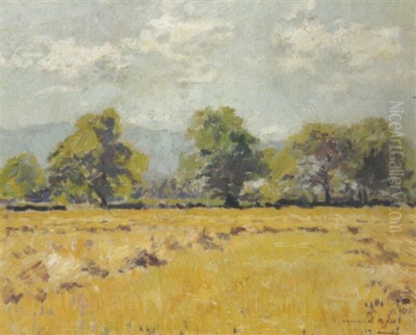 Kornfeld Im Sommer Oil Painting by Armand Adrien Marie Apol