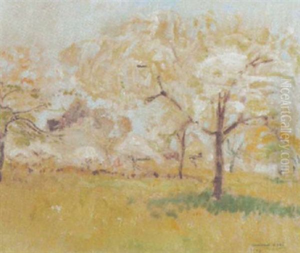 Bluhende Obstbaumwiese Im Sonnenschein Oil Painting by Armand Adrien Marie Apol