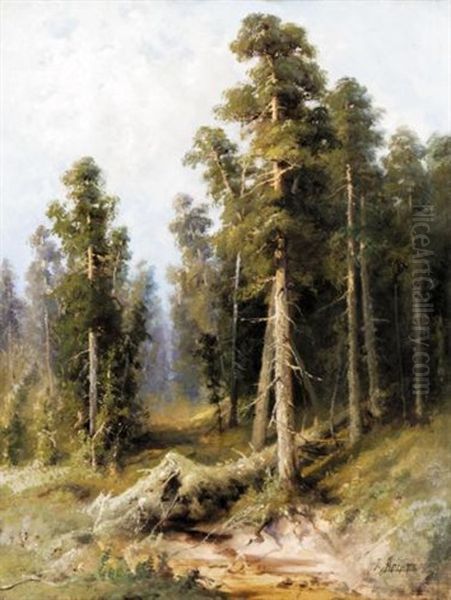 Forest With Wind-felled Trees Oil Painting by Aleksandr Petrovich Apsit