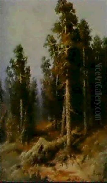 Forest Grove Oil Painting by Aleksandr Petrovich Apsit