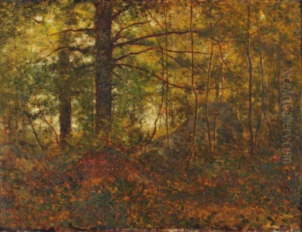 Sous Bois Dans Les Environs De Cernay Oil Painting by Jean Alexis Achard