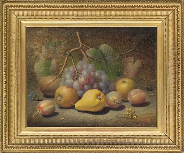 Grapes, Apples, Plums, Pear And A Thistle On A Mossy Bank Oil Painting by Charles Archer