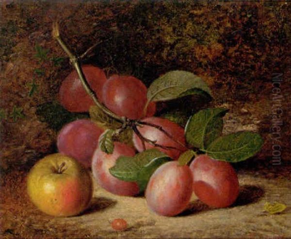 Plums And An Apple On A Mossy Bank Oil Painting by Charles Archer