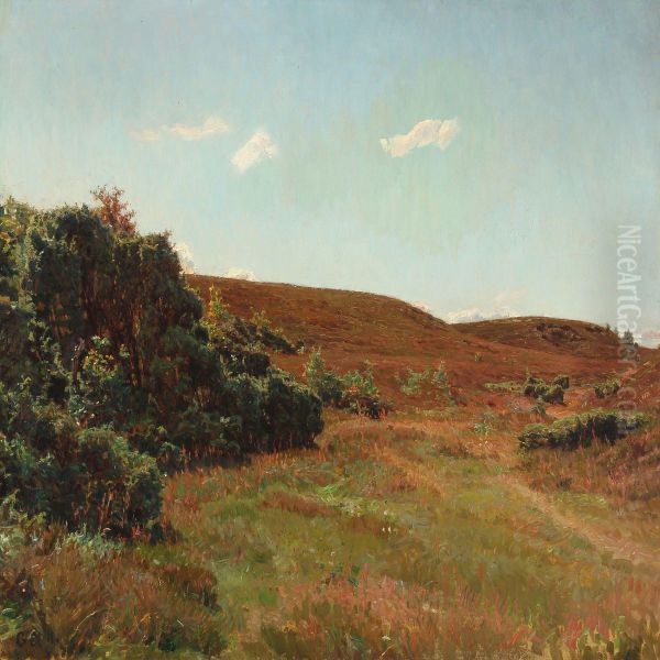 Moorlandscape With Blooming Heather Oil Painting by Georg Nicolaj Achen