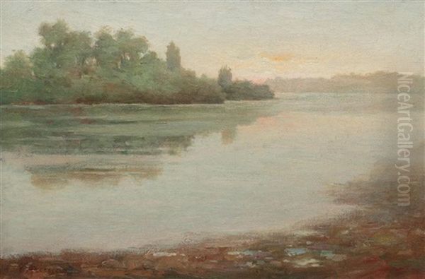 Morning On The Lake Oil Painting by Constantin Aricescu