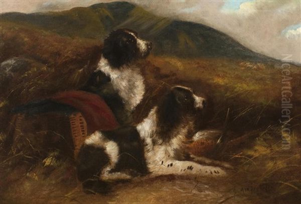 Springer Spaniels In A Moor With Game Oil Painting by Edward Armfield