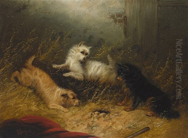 Three Terriers Guarding A Hole Oil Painting by Edward Armfield