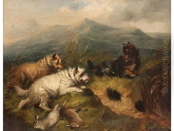 Terriers Rabbiting In A Highland Landscape Oil Painting by Edward Armfield