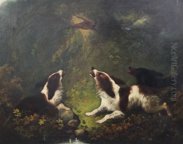 Spaniels Chasing A Pheasant Oil Painting by Edward Armfield