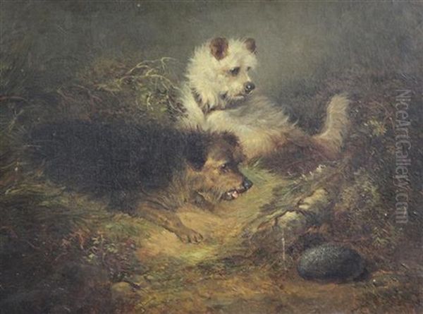 Terriers Beside A Rabbit Hole Oil Painting by Edward Armfield