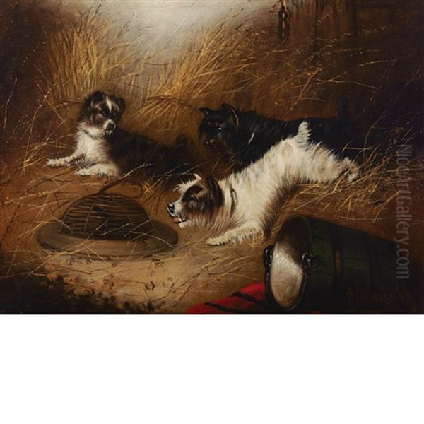 Terriers And The Trap Oil Painting by Edward Armfield