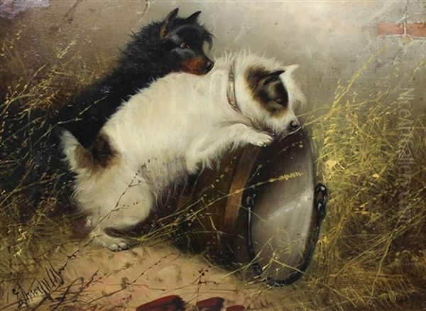 Two Terriers Ratting (pair) Oil Painting by Edward Armfield