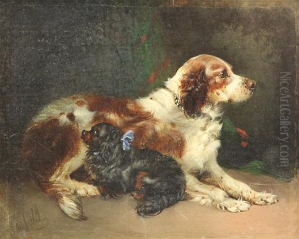 Portrait Of Two Spaniels, Friendly Companions Oil Painting by Edward Armfield