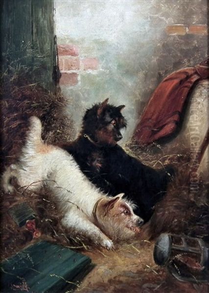 Terriers In A Barn Oil Painting by Edward Armfield