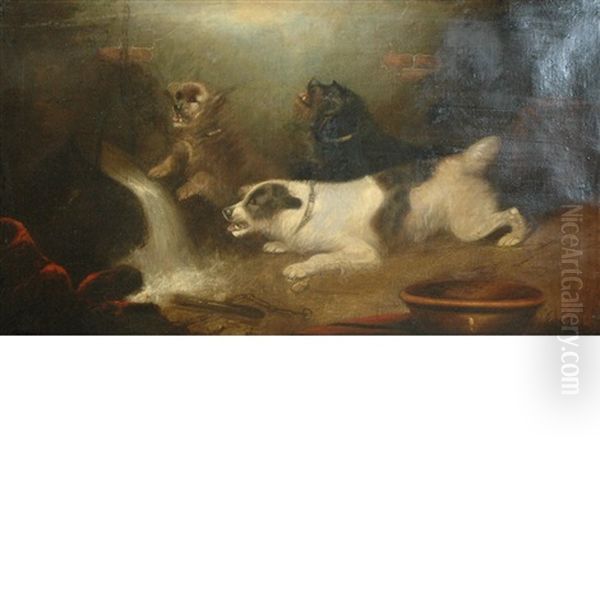 Mischievous Dogs Oil Painting by Edward Armfield