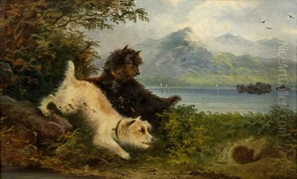 Terriers Frolicking By A Lake Oil Painting by Edward Armfield