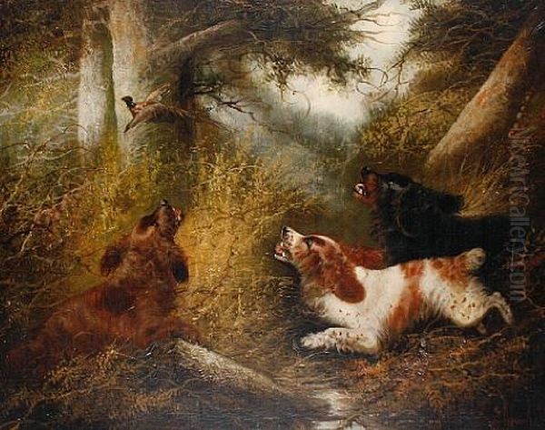 Spaniels Putting A Pheasant Up Oil Painting by Edward Armfield