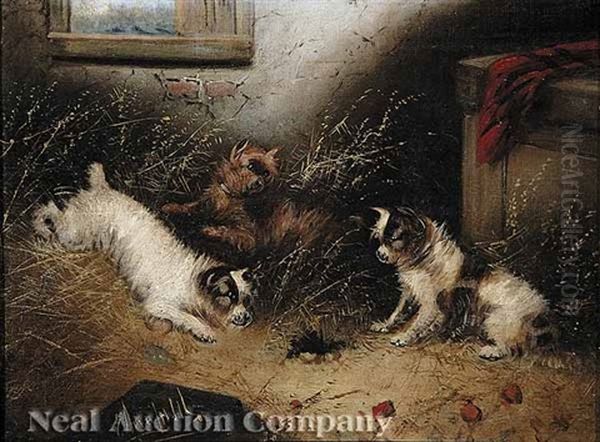 Three Terriers In A Barn Oil Painting by Edward Armfield