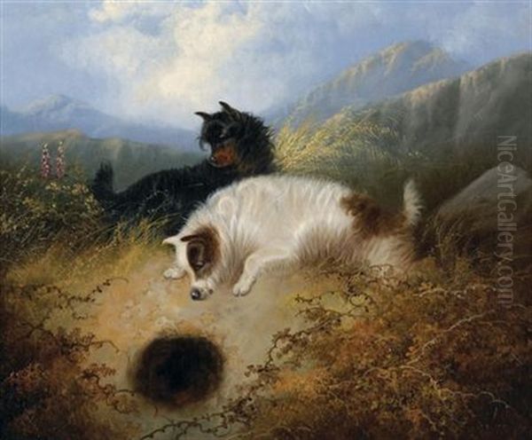 Terriers At A Rabbit Hole Oil Painting by Edward Armfield