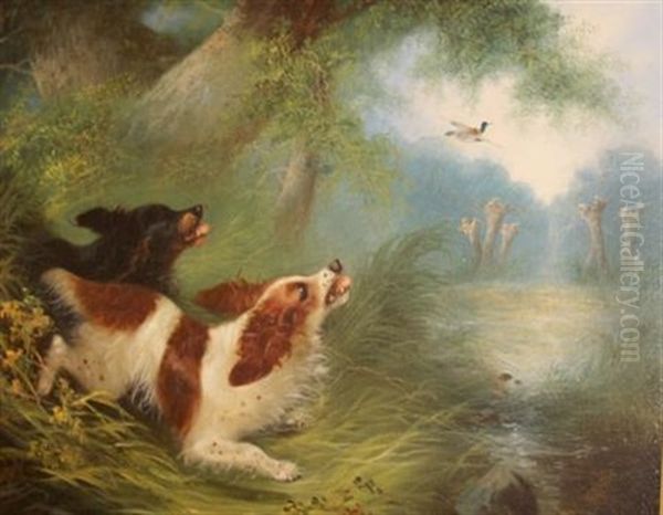 Spaniels Flushing Mallard Oil Painting by Edward Armfield