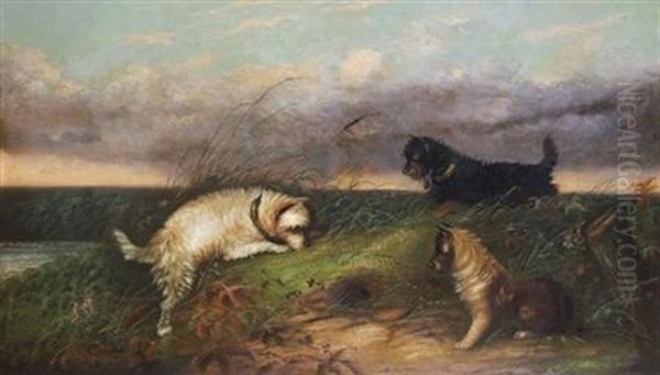 Terriers Rabbiting Oil Painting by Edward Armfield