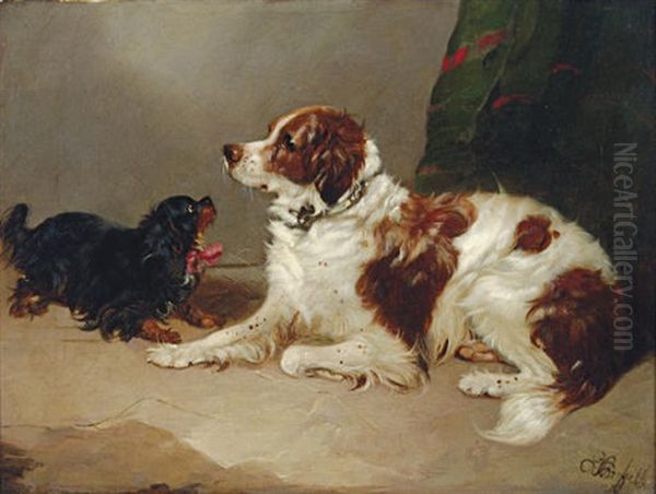 A Spaniel And A King Charles At Play Oil Painting by Edward Armfield