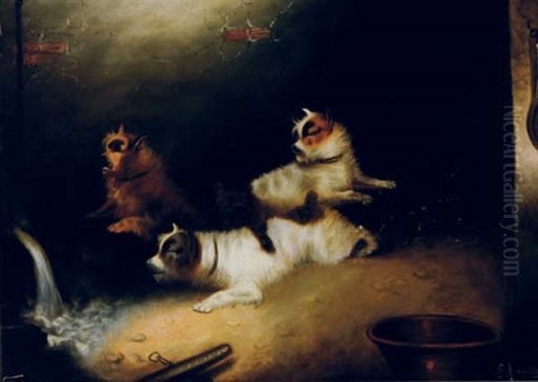 Terriers Alert Oil Painting by Edward Armfield