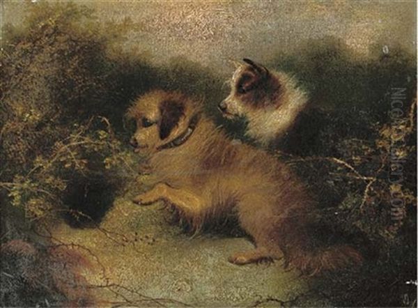 Eager Terriers Outside A Rabbit Hole (+ Excited Terriers On The Scent; Pair) Oil Painting by Edward Armfield