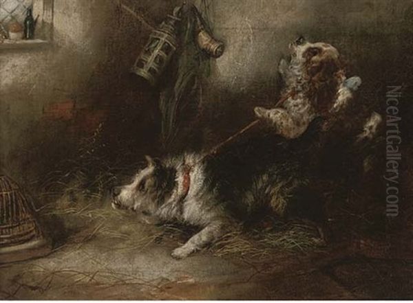 A Terrier And Spaniel Ratting Oil Painting by Edward Armfield