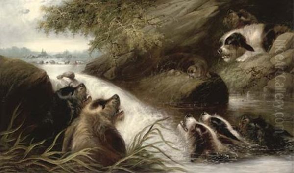 The Cornered Otter Oil Painting by Edward Armfield