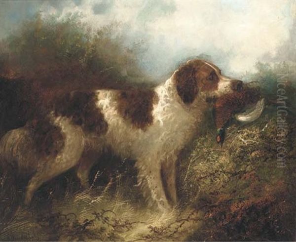 A Spaniel With A Pheasant Oil Painting by Edward Armfield