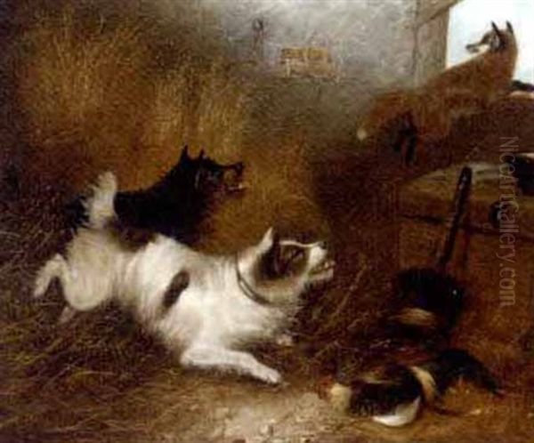 Terriers Chasing A Fox In A Barn Oil Painting by Edward Armfield