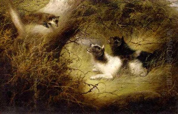 Terries Chasing A Fox Oil Painting by Edward Armfield