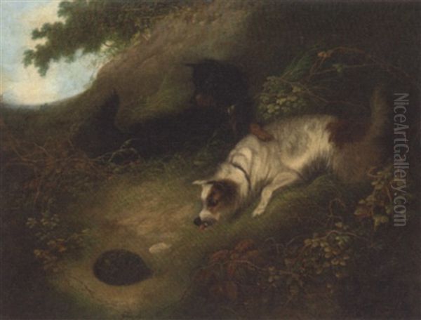 Terriers Looking At A Hedgehog by Edward Armfield