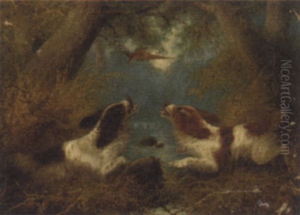 Spaniels Flushing A Pheasant Oil Painting by Edward Armfield