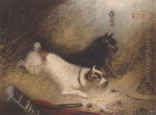 Terriers Ratting Oil Painting by Edward Armfield