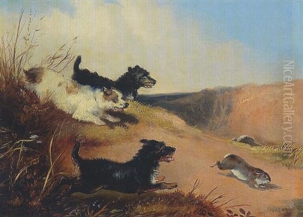 Drei Terrier Jagen Einen Hasen Oil Painting by Edward Armfield