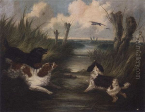 Spaniels Putting Mallards Up Oil Painting by Edward Armfield