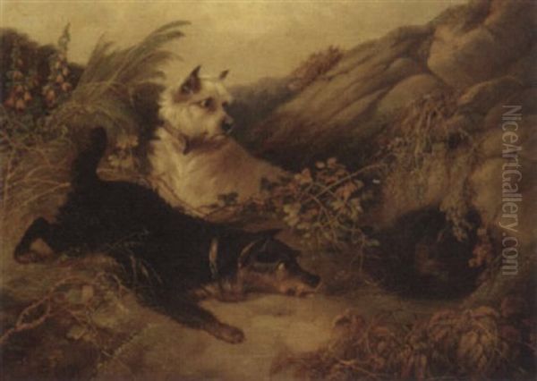 Terriers Rabbiting Oil Painting by Edward Armfield