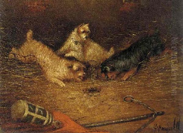 Terriers Ratting Oil Painting by Edward Armfield