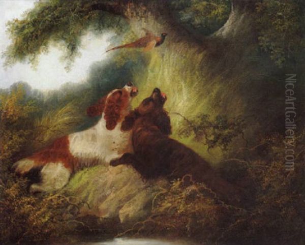 Putting Up Pheasant by Edward Armfield