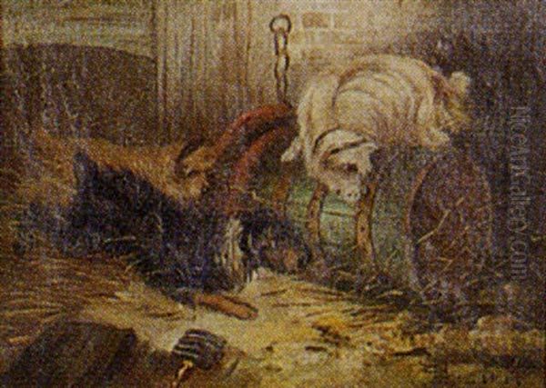 Terriers In A Barn Oil Painting by Edward Armfield