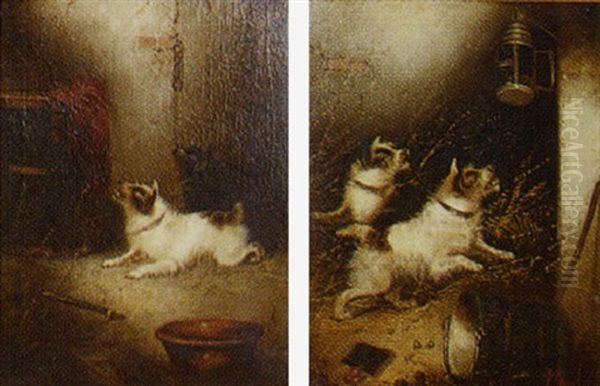 Terriers In A Barn Oil Painting by Edward Armfield