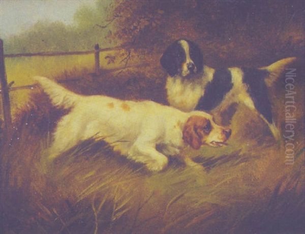 Two Spaniels Oil Painting by Edward Armfield