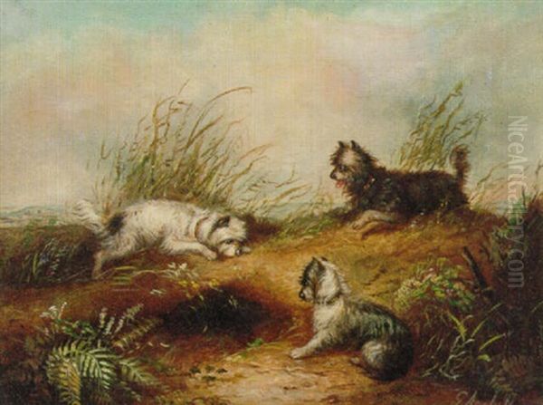 Terriers Ratting In A Barn Oil Painting by Edward Armfield