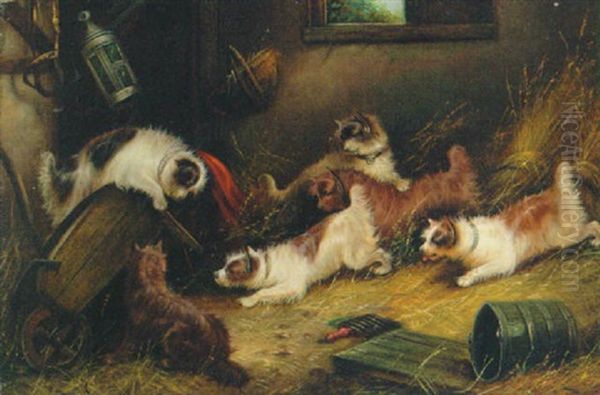 Terriers Ratting In A Barn Oil Painting by Edward Armfield